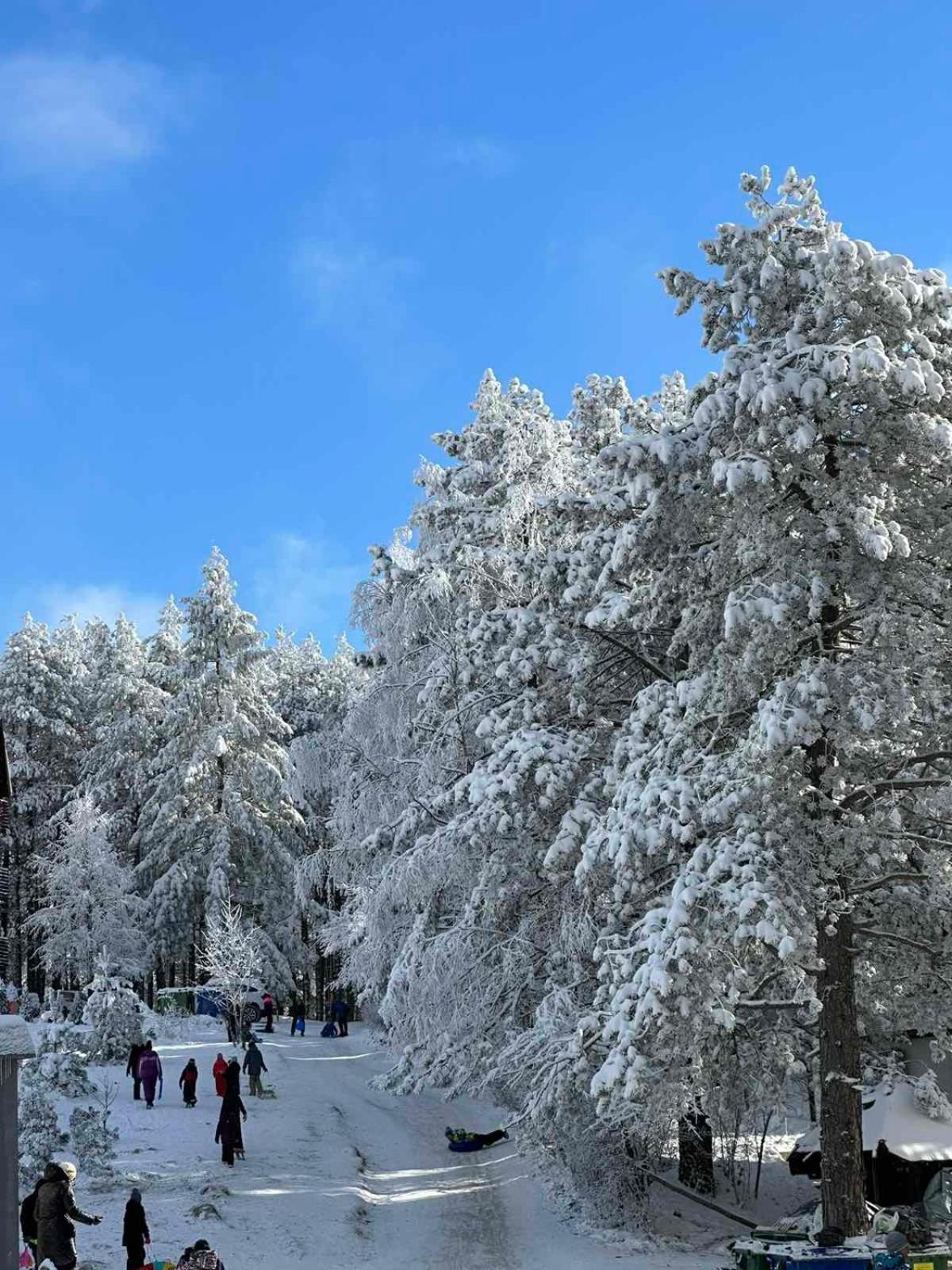 All Seasons Residence Zlatibor Exteriér fotografie